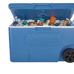 Woods Boreal Cooler, 65-L, Blue -OutfitPro Shop woods 65l cooler 551fe330 0c60 4d88 9eac f855097188b7