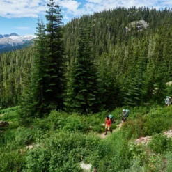 Woods Chilkoot Lightweight Water-Resistant Backpack For Hiking/Camping/Travel, 55-L -OutfitPro Shop woods chilkoot 40l 63db9af5 19fa 4558 a318 cd77943afce0 1