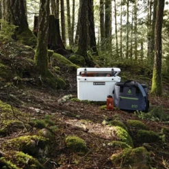 Woods™ Soft Cooler Tote, 36 Can Capacity, 41.4-L, Grey -OutfitPro Shop woods expedition series soft cooler tote 036fd6ee 2ebb 46c0 8e7a b39c20bff218